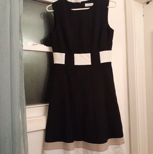 Calvin Klein Fit & Flare Colorblock Dress